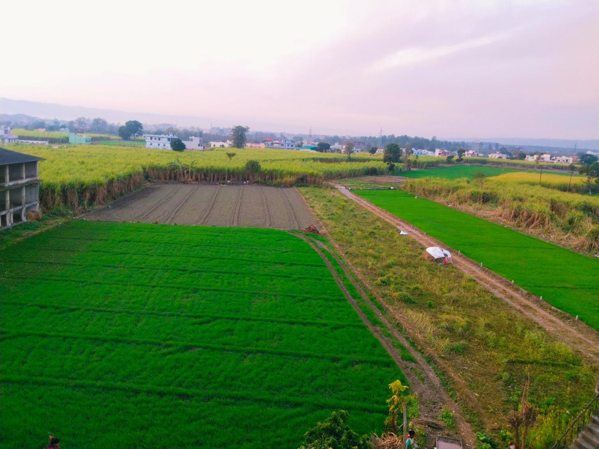 Airport Luxury Nature Homestay- Near Jolly Grant Airport Dehradun Doiwala Ngoại thất bức ảnh