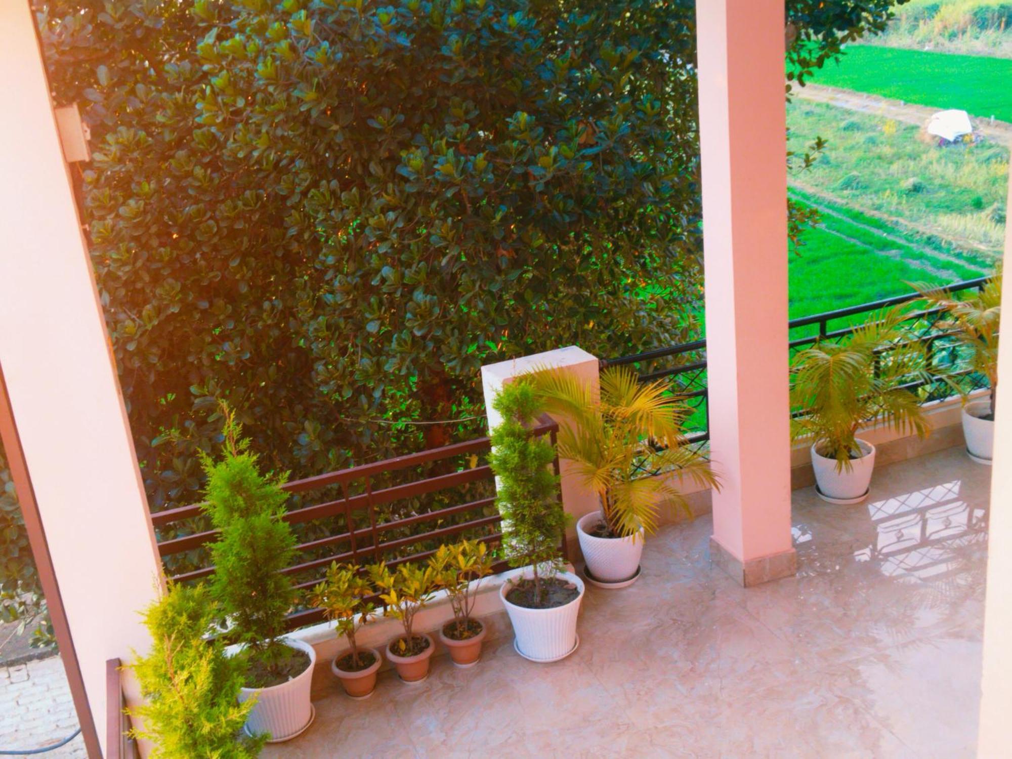 Airport Luxury Nature Homestay- Near Jolly Grant Airport Dehradun Doiwala Ngoại thất bức ảnh