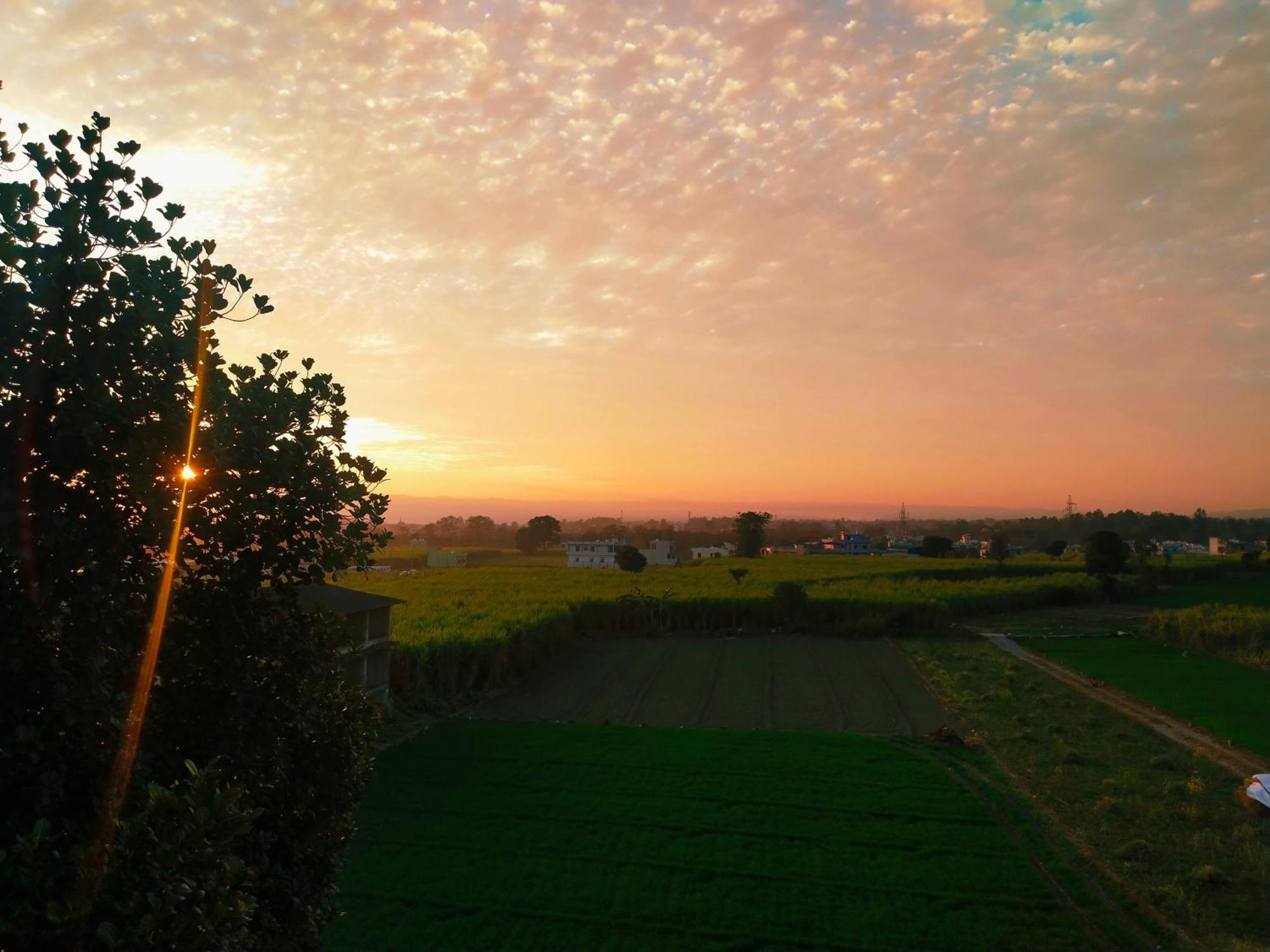 Airport Luxury Nature Homestay- Near Jolly Grant Airport Dehradun Doiwala Ngoại thất bức ảnh