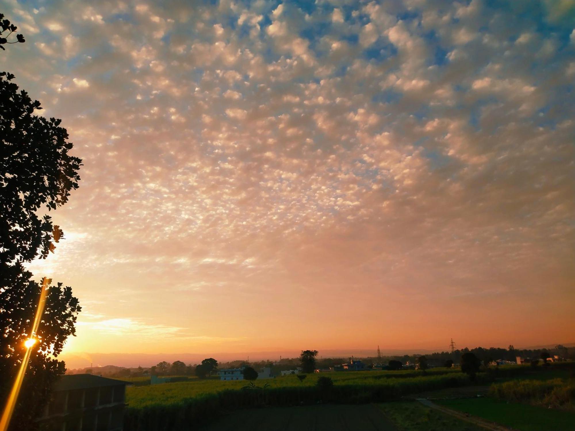 Airport Luxury Nature Homestay- Near Jolly Grant Airport Dehradun Doiwala Ngoại thất bức ảnh