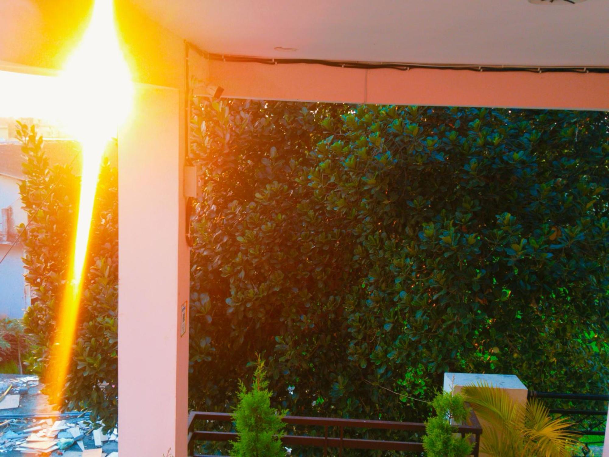 Airport Luxury Nature Homestay- Near Jolly Grant Airport Dehradun Doiwala Ngoại thất bức ảnh