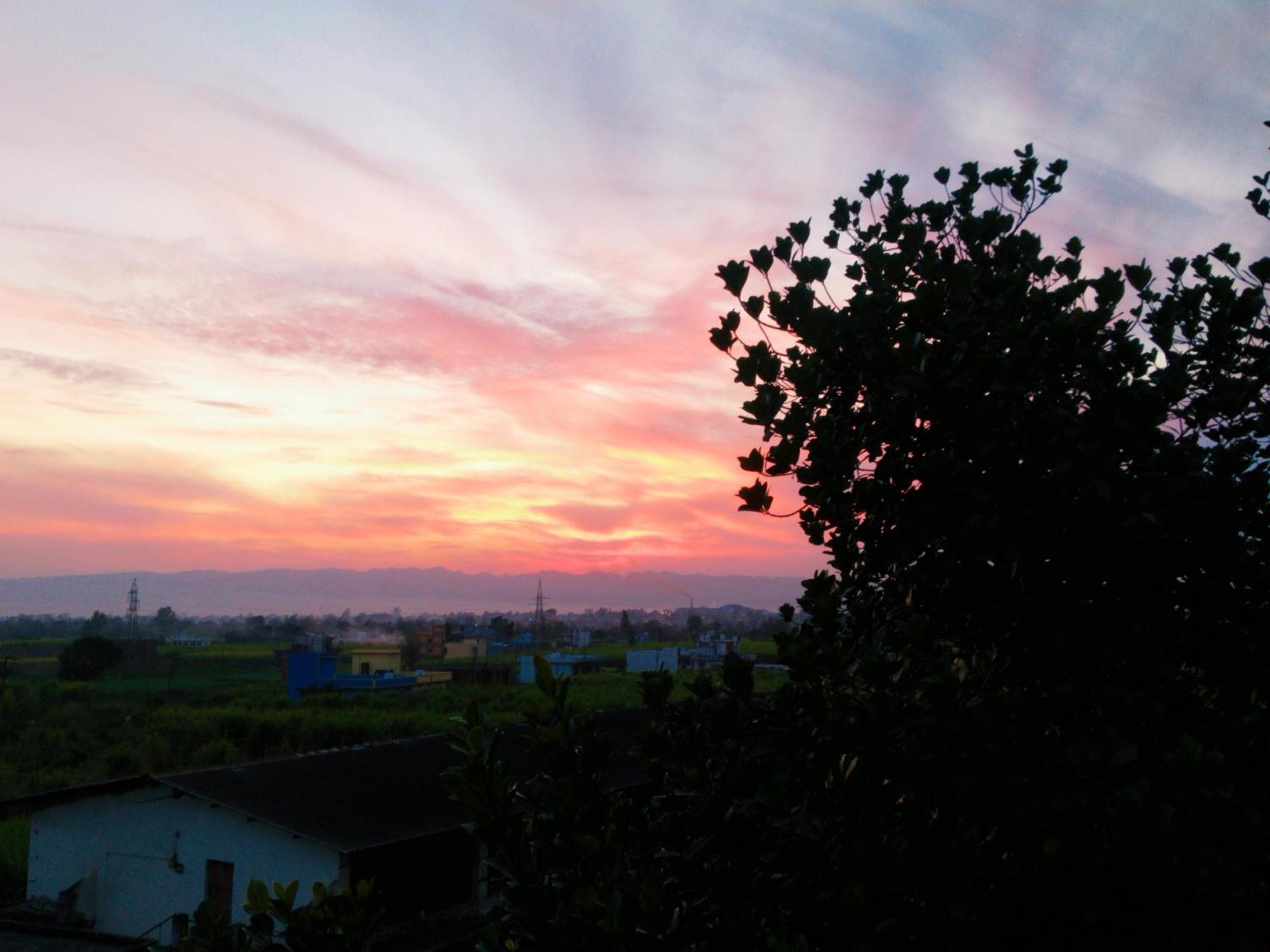 Airport Luxury Nature Homestay- Near Jolly Grant Airport Dehradun Doiwala Ngoại thất bức ảnh